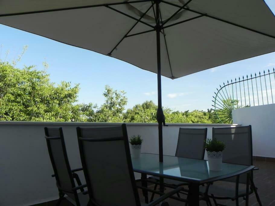 Atico Con Terraza En Alameda De Hercules Sevilla Buitenkant foto